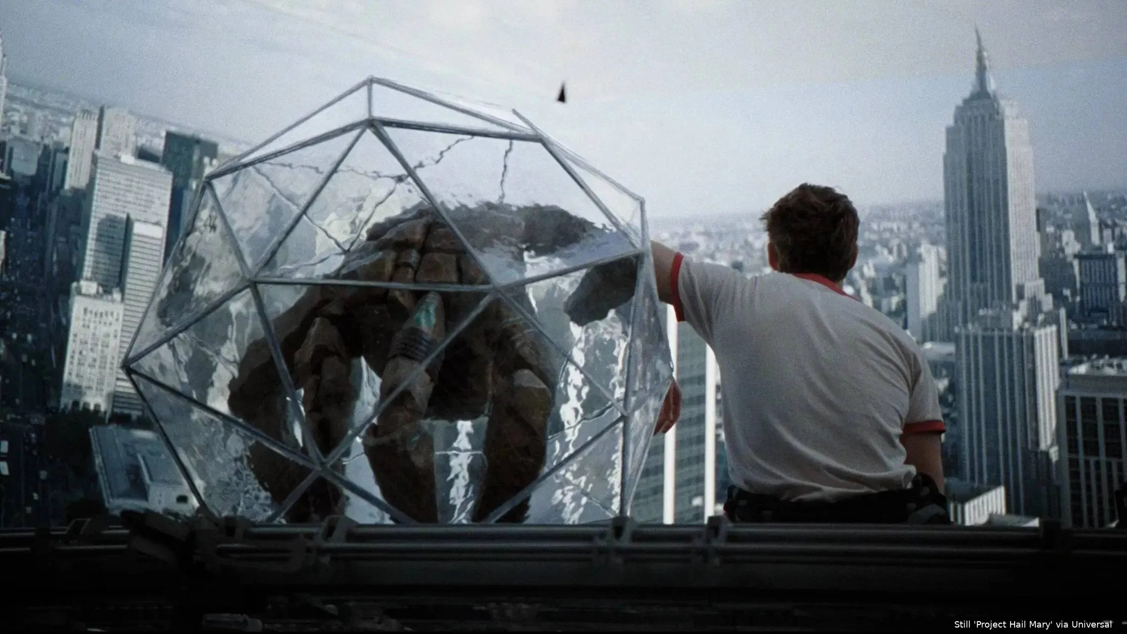 afHAM9qOTmrVDeaLIU7zfssotUY