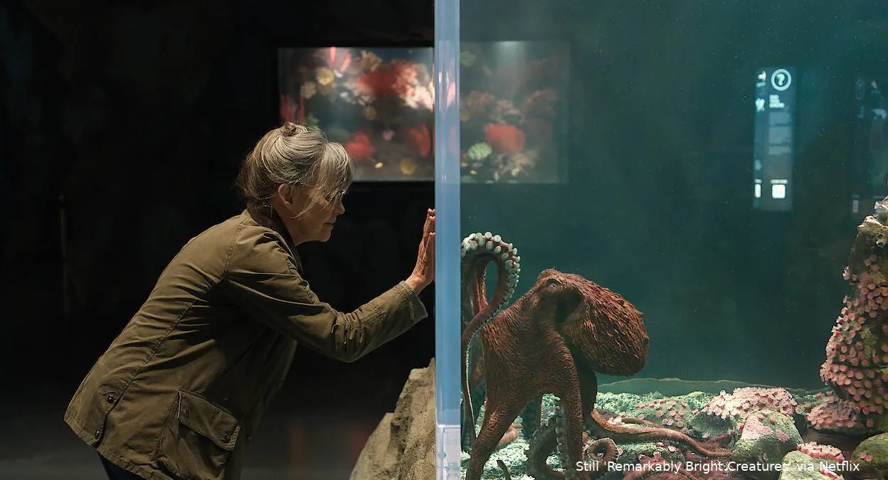 AAAAQdSeNTlusnH9xaICi4pIe_6WJzwO3NMGC7Y8CxbEZmHPE2hQsY1SRFP9aDLsyQKqym0du247-d9LPmML6fhuHXYtv4pnXp5whT8AfIuU6bSqtZBAcllFYIEKni0YaakuXLYdEnIH0rJdQC_bHnuHbWnjxsQ