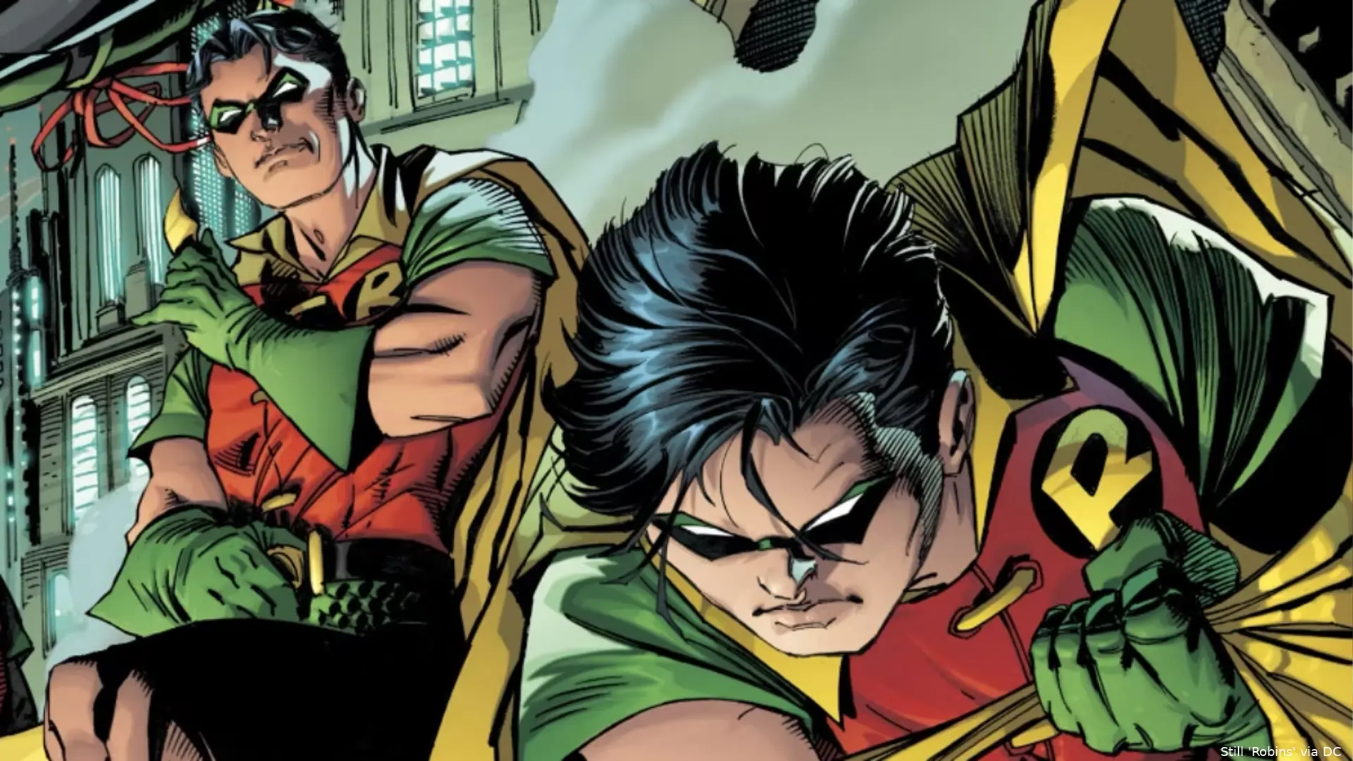 robins1