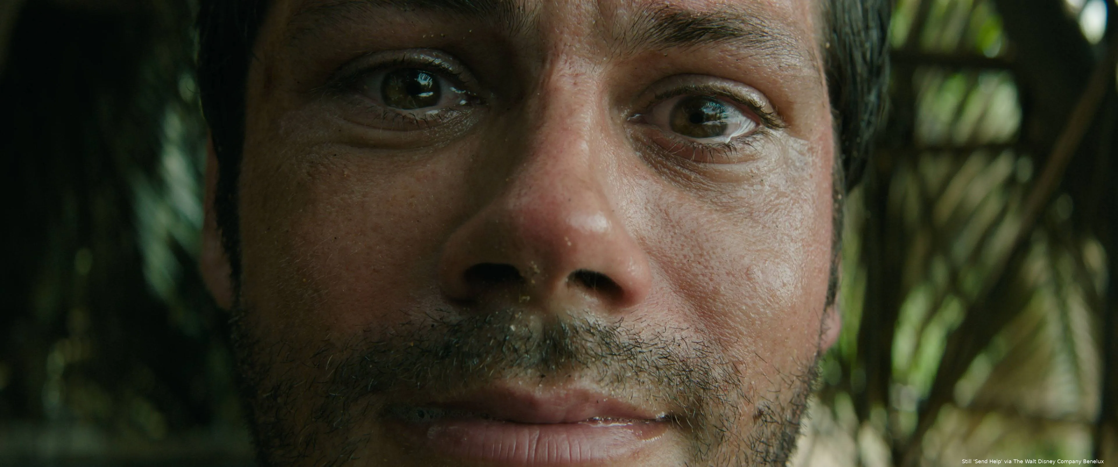 Send-Help_st_4_jpg_sd-high_2026-20th-Century-Studios