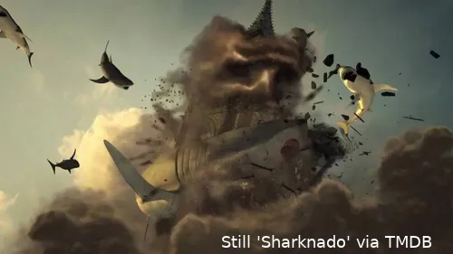 m3d7qmHv34dB7ttLDC75TQp0iV9