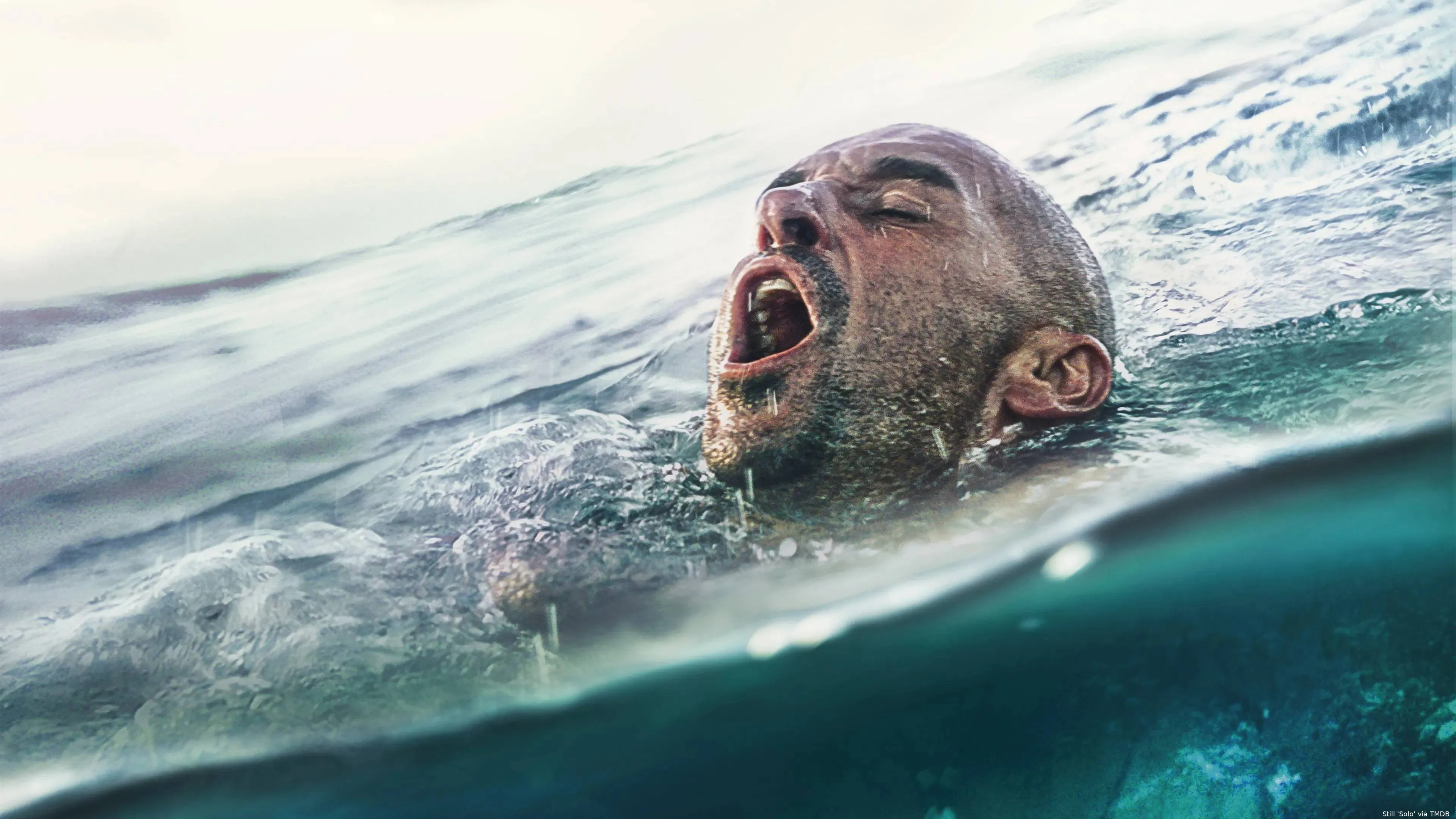 g5R8klL1IY12urrcj9Gq8MELU4a