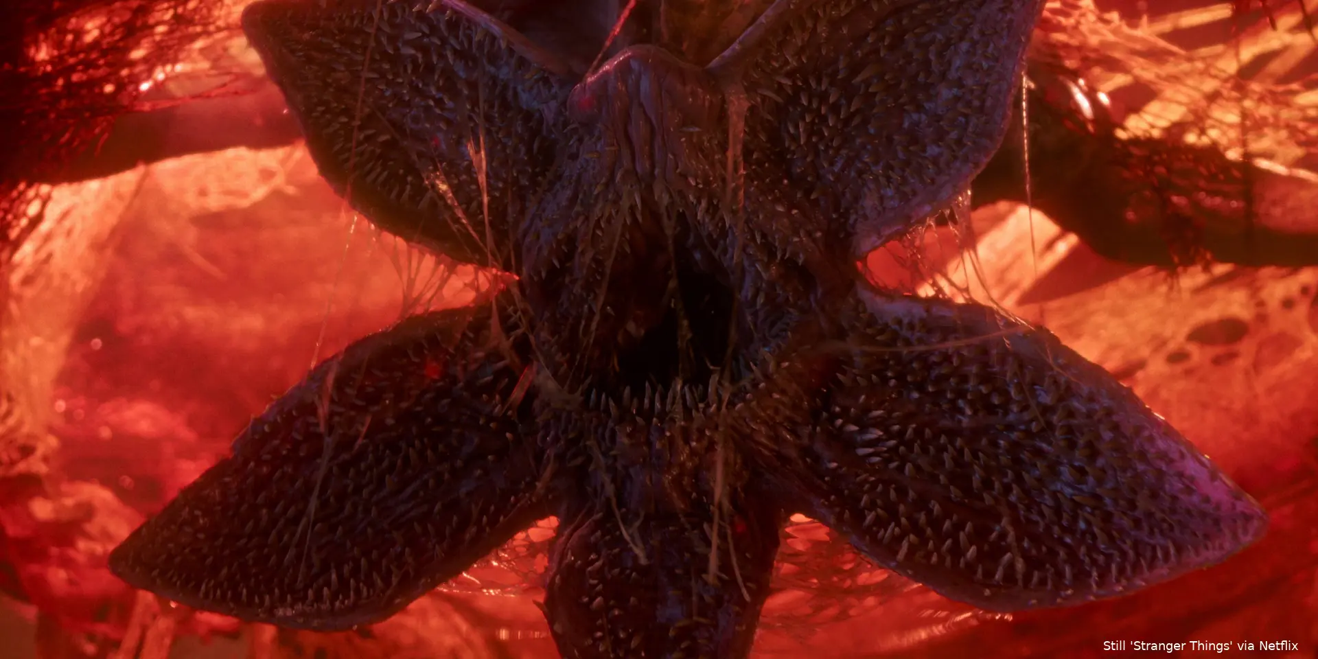 StrangerThings_S5_0093_R