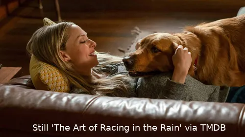 97EapkdpcKIYesPpCTtwV3rfhpL