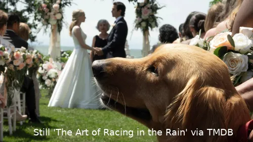 ithr0FDzDHQrx7QPTLURJ4fwmza