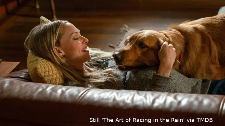 97EapkdpcKIYesPpCTtwV3rfhpL