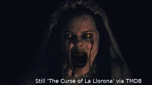 mWa0VmD3tE8F1N7BjdyOl6CXLmp