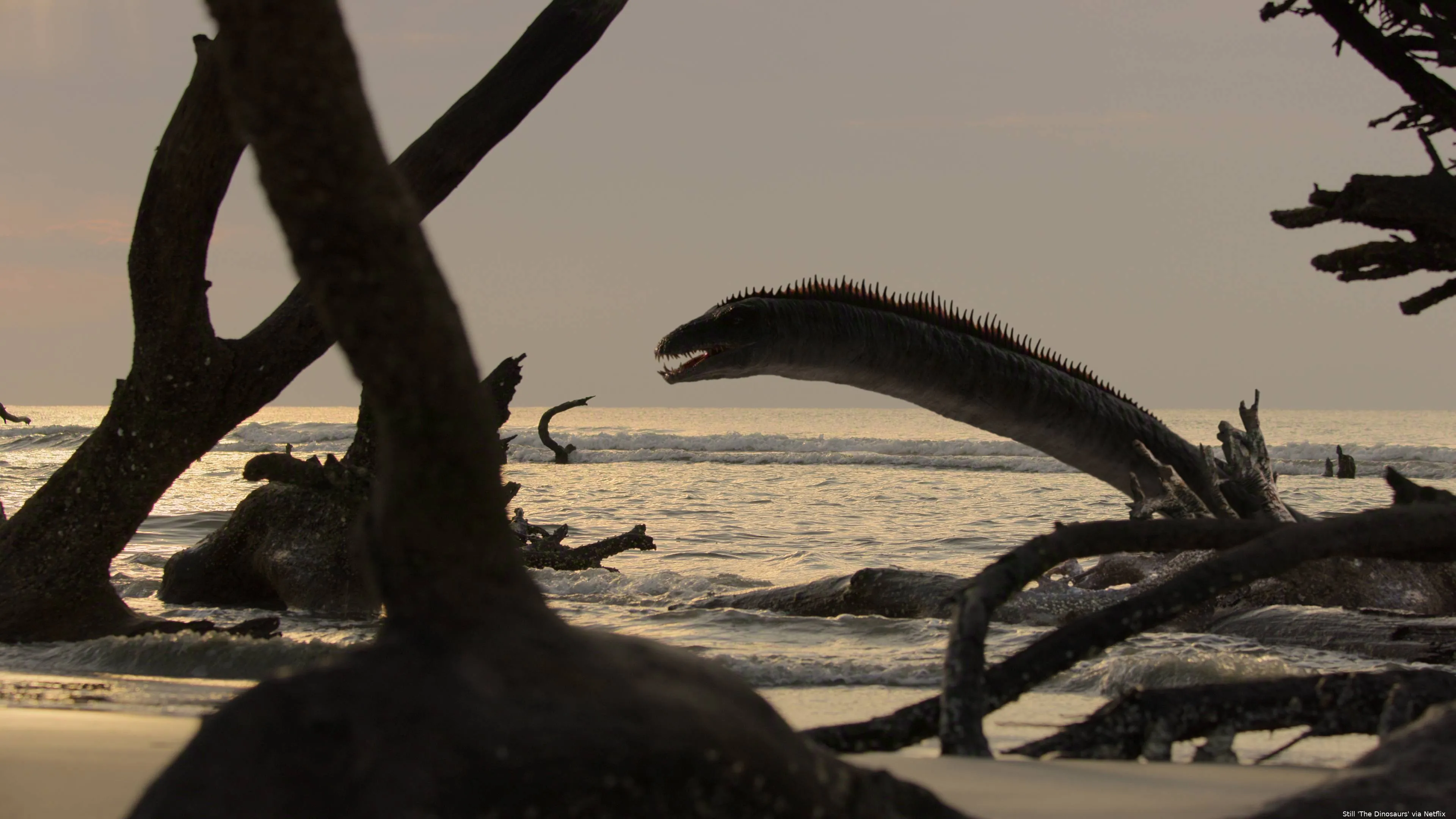 The_Dinosaurs_n_S1_E1_00_11_23_19