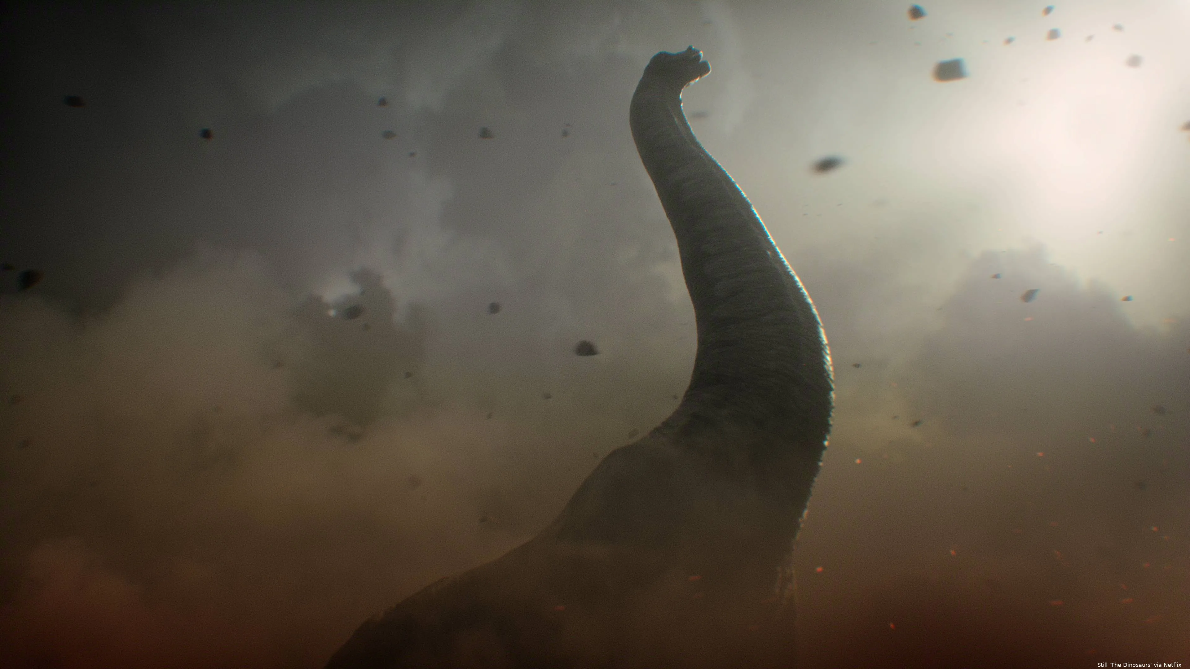 The_Dinosaurs_n_S1_E2_00_05_58_06