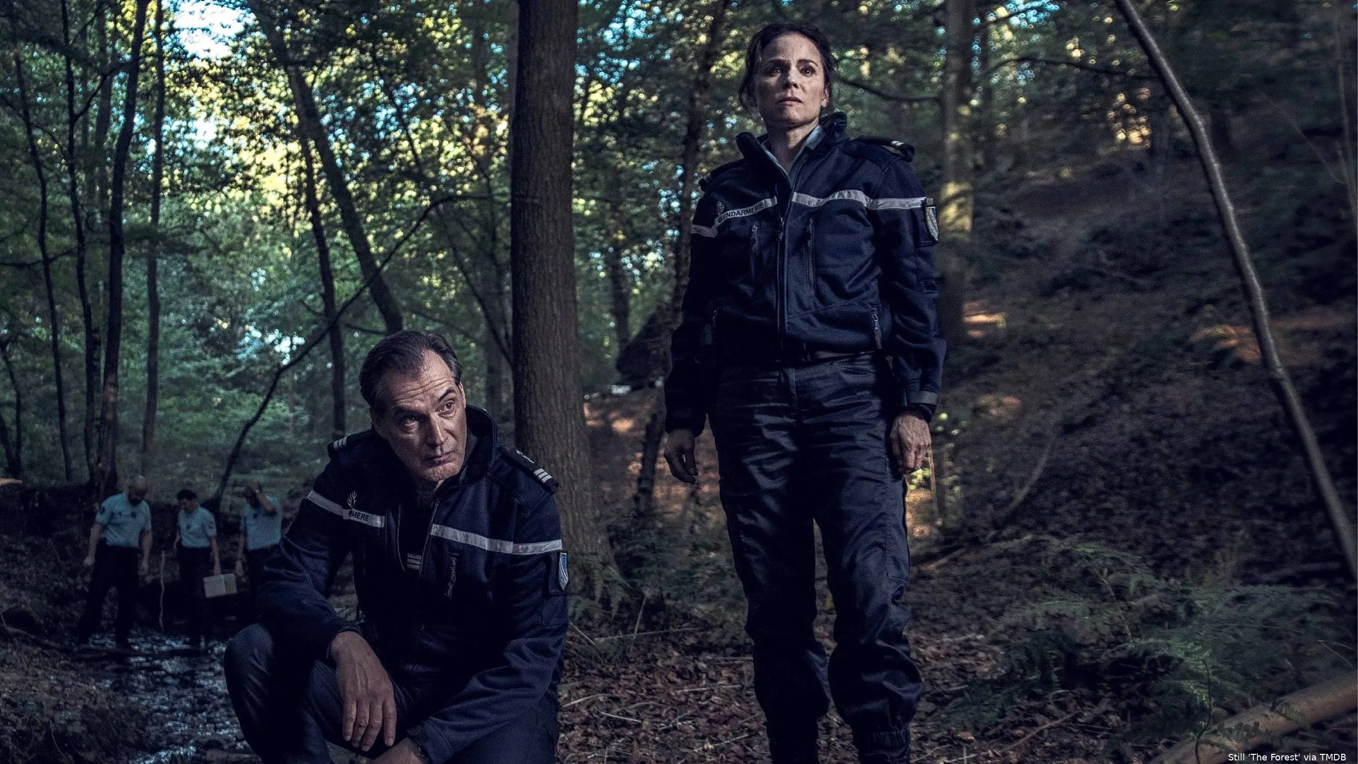 bYd2KVRfR3FzByZwdwXkhTQO7OY