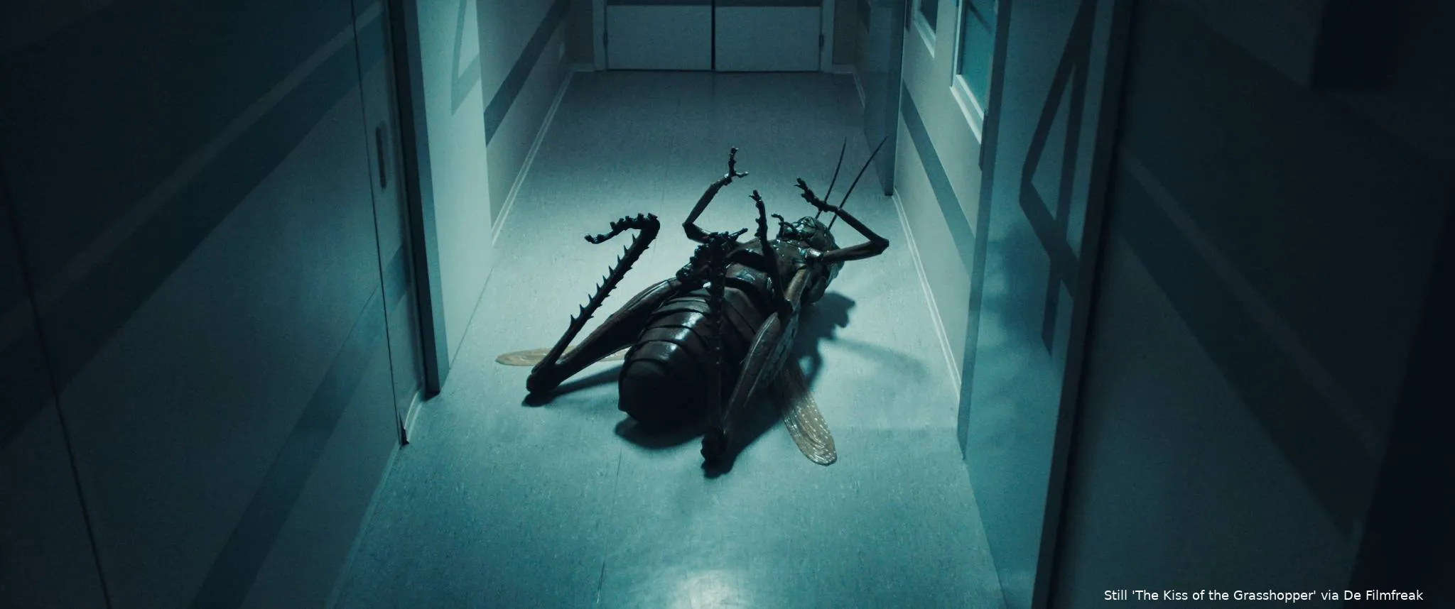 The-Kiss-of-the-Grasshopper_st_5_jpg_sd-high