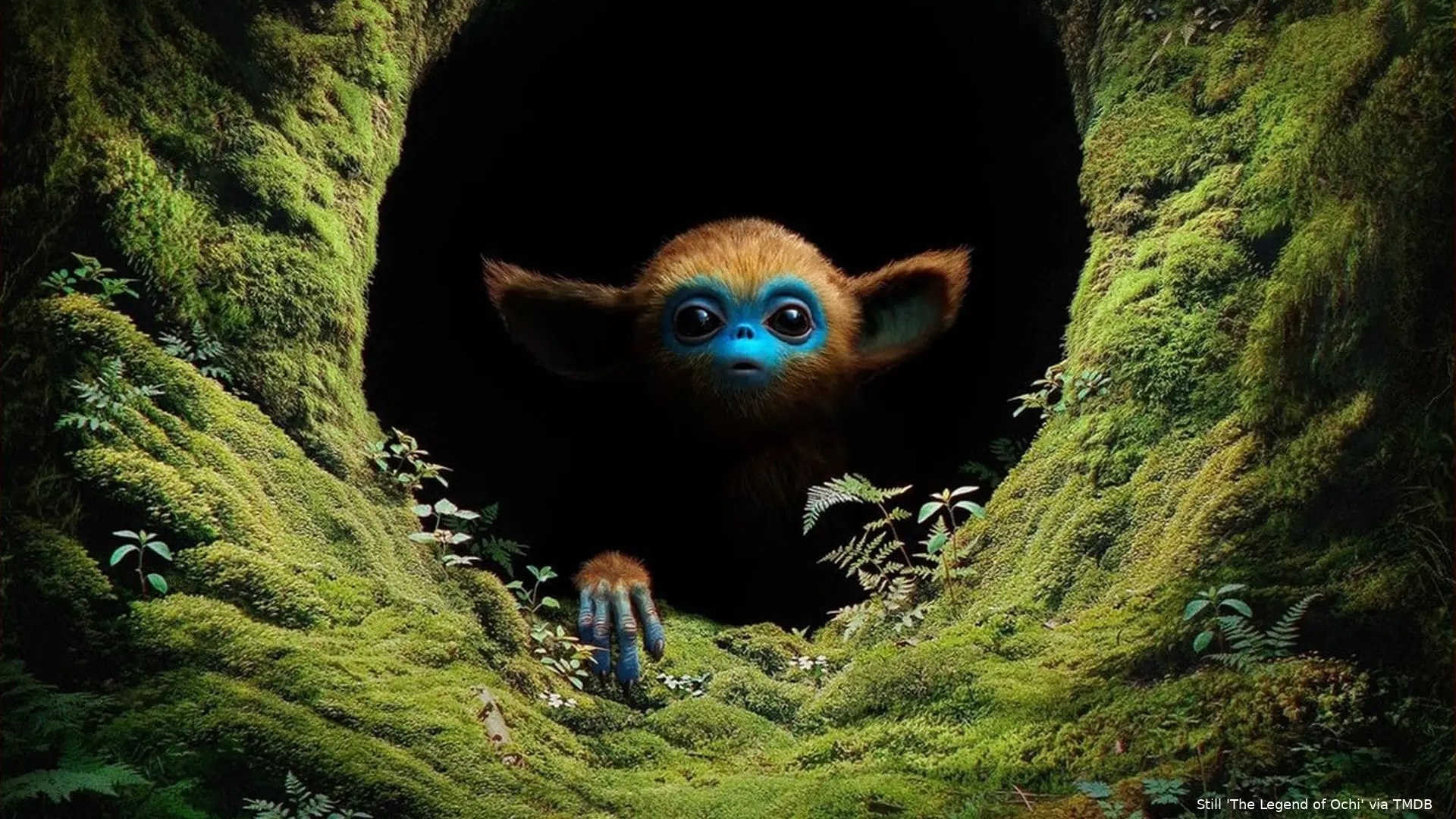 legend of ochi