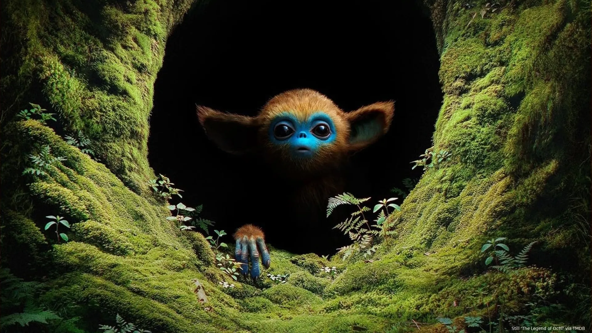 legend of ochi