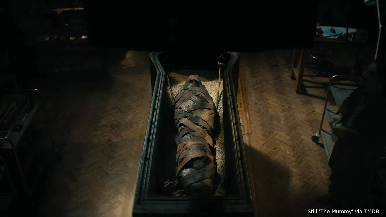 6TUB7EqdlZ3nkzXCIPrlEv21JNL