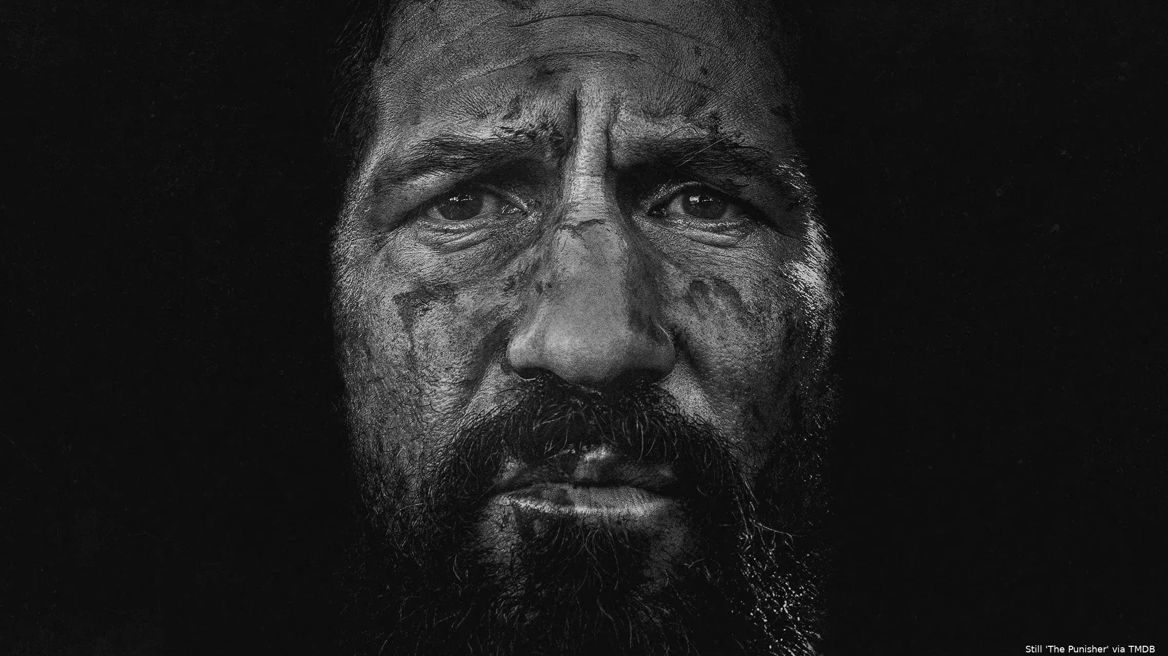 qO55CD8tgVL1T4WKn6zYFFiD6lL