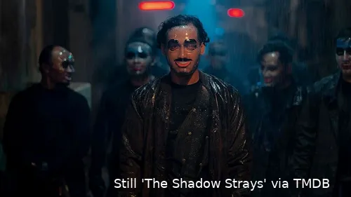 stray