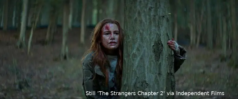 The-Strangers_-Chapter-2_st_4_jpg_sd-low