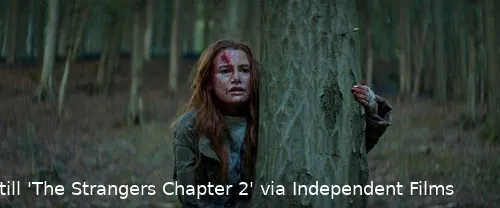 The-Strangers_-Chapter-2_st_4_jpg_sd-low