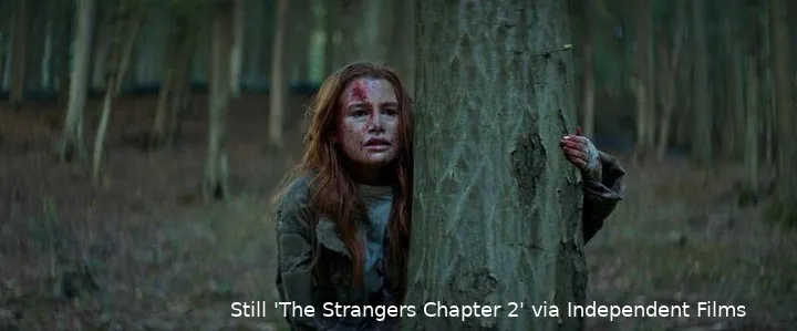 The-Strangers_-Chapter-2_st_4_jpg_sd-low