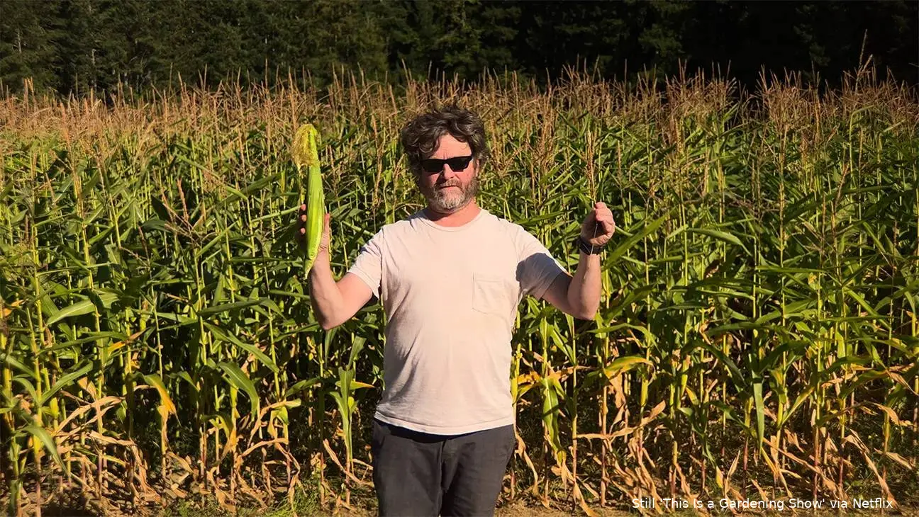 CORN_001-H-2026
