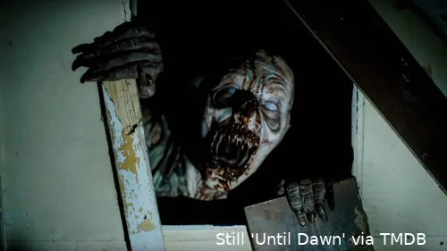 15yvzhmjfgqzeyl1vu1v1kqg2znjpg