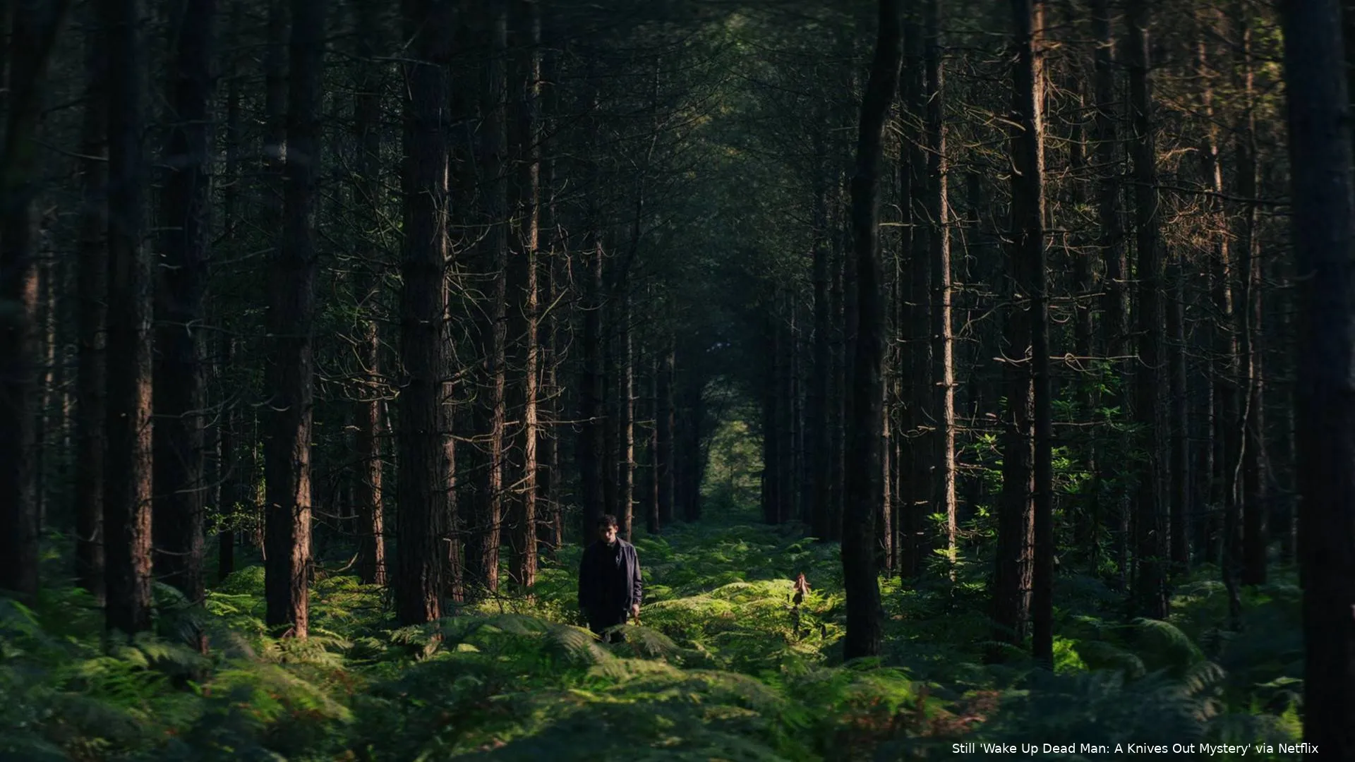 zL06jppkcYulJq3c8BYC8qVf1lI