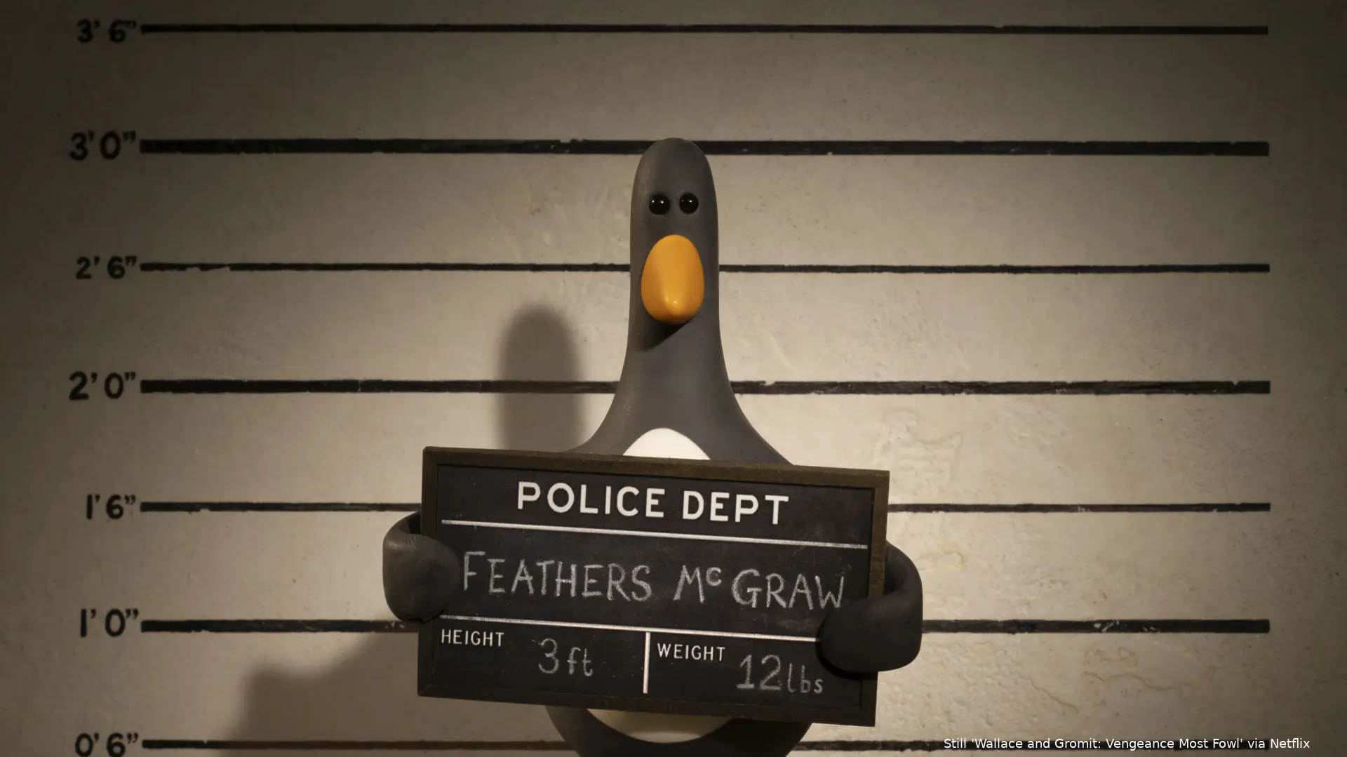 wg vmf ep plus 005 01100 feathers holding board front 001