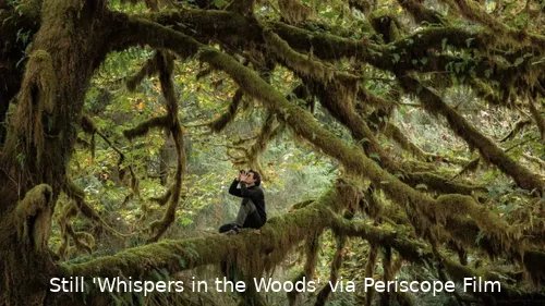 wbY6buSViBVILpvXcoQKIlNlggy