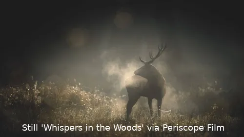 Whispers-in-the-Woods_st_1_jpg_sd-high