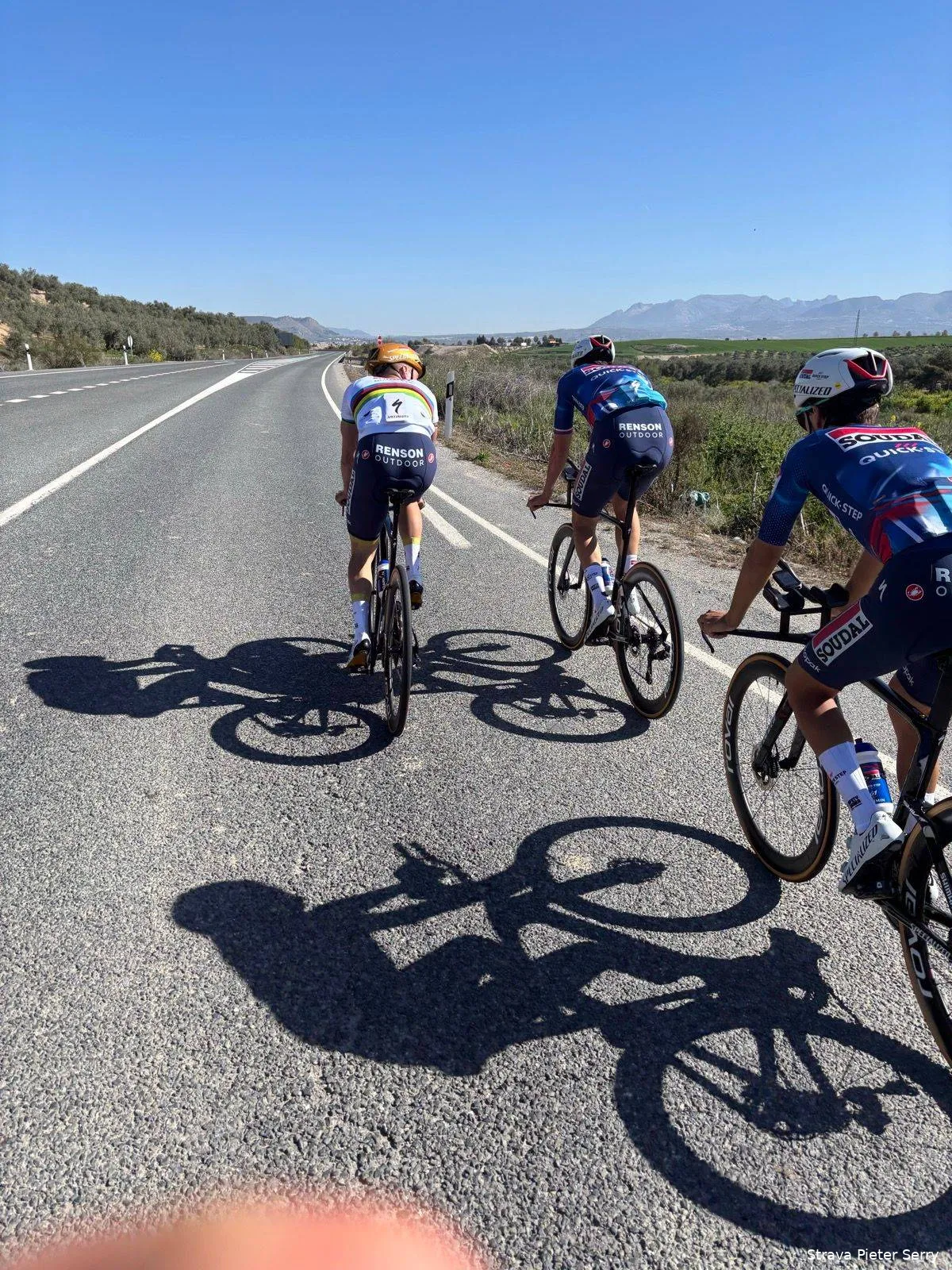 evenepoel lecerf serry