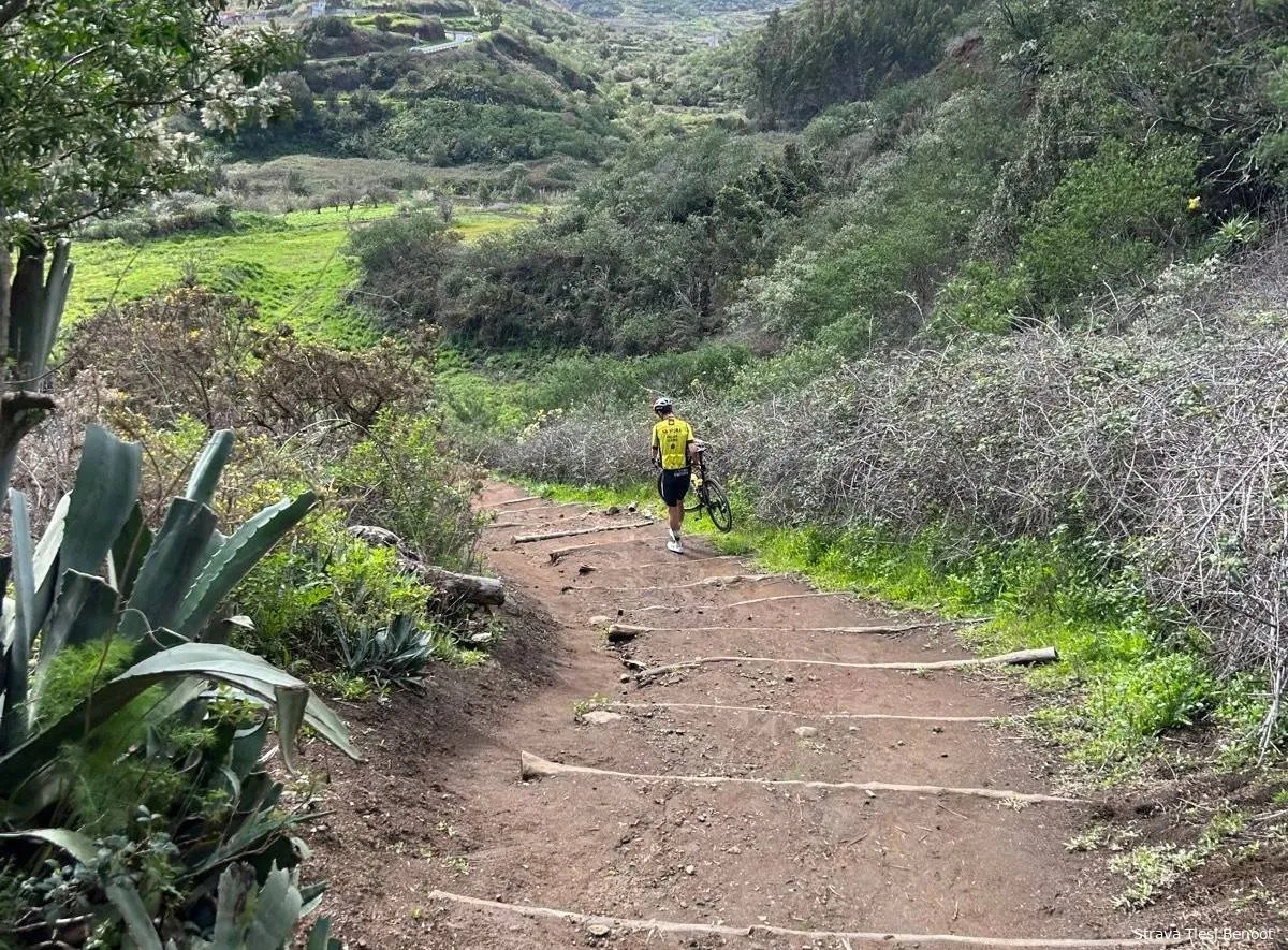 wout van aert tenerife