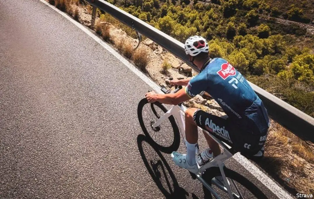van-der-poel-ovett