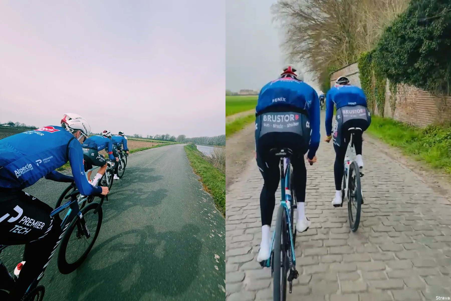 alpecin-premier-tech