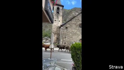 <i>Bijzondere gasten tijdens een koffiestop voor de mannen</i>