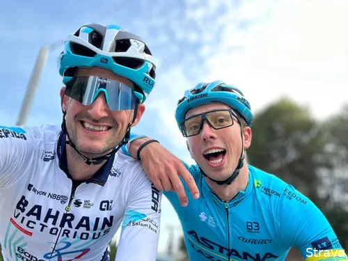 wout poels ide schelling