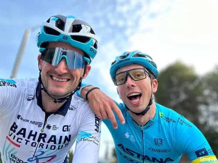 wout poels ide schelling