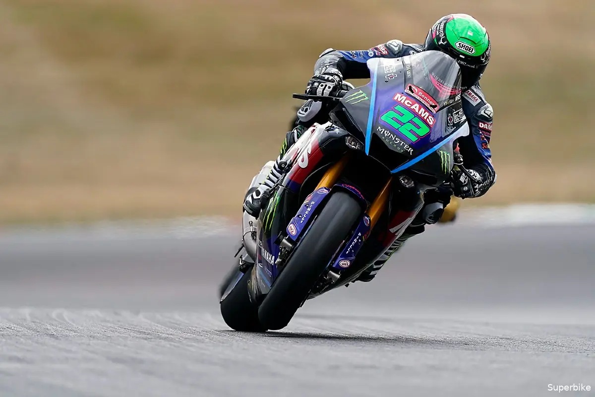 jasonohalloran bsb brands