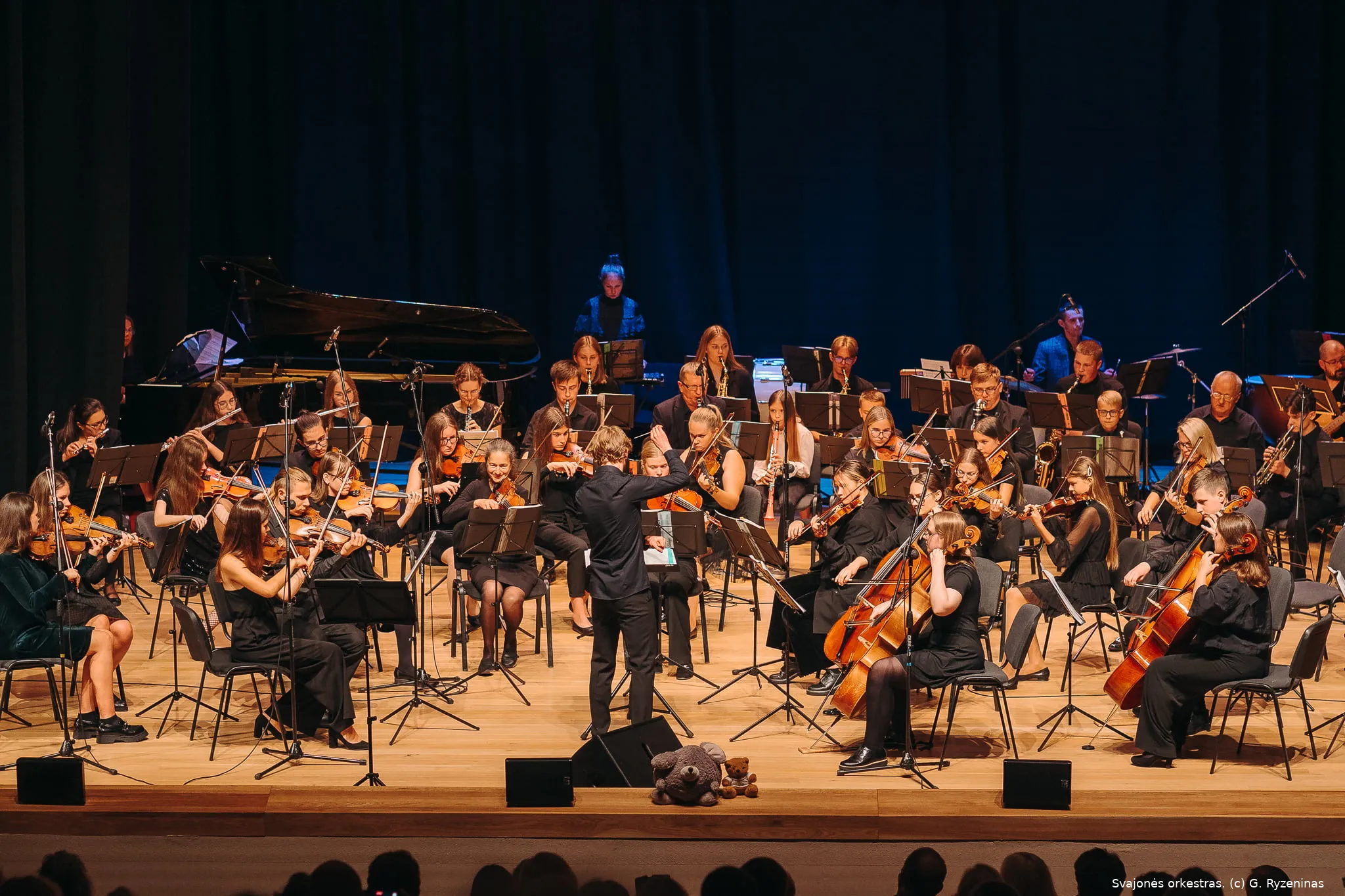 svajones orkestras c g ryzeninas