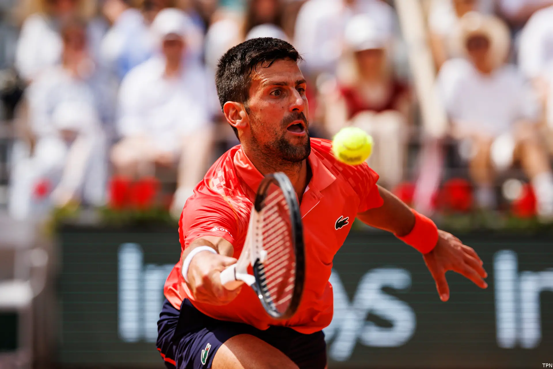djokovic novak rg23 tpn11