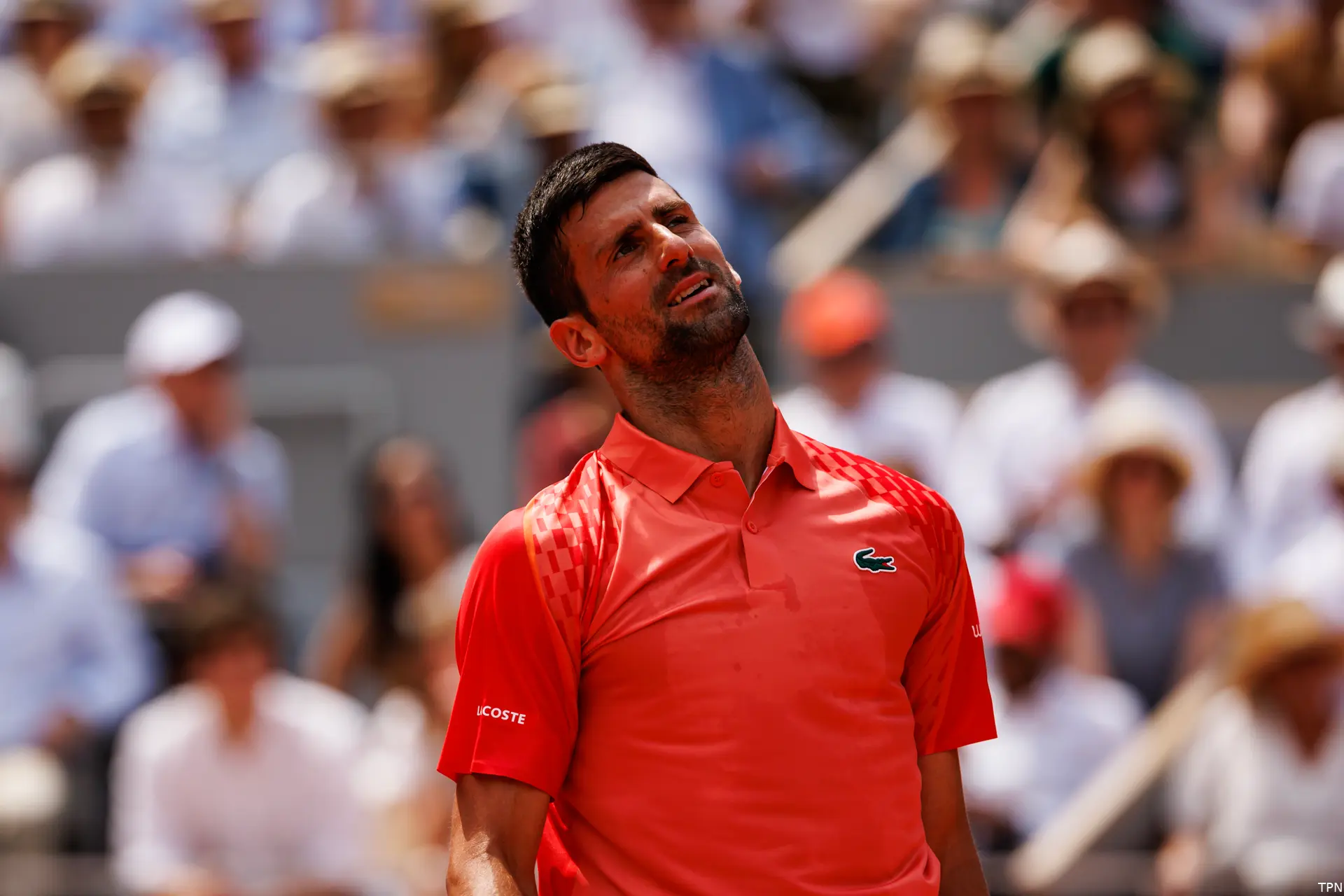 djokovic novak rg23 tpn9