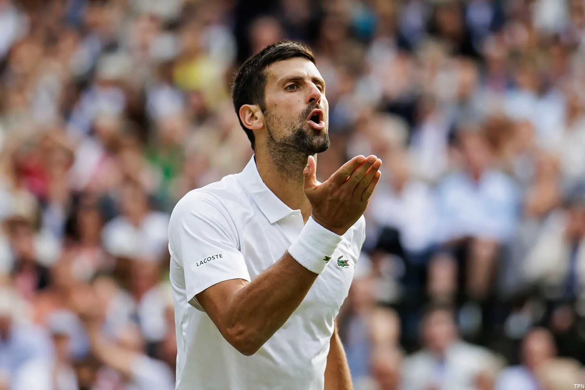 djokovic novak wimbledon23 tpn8