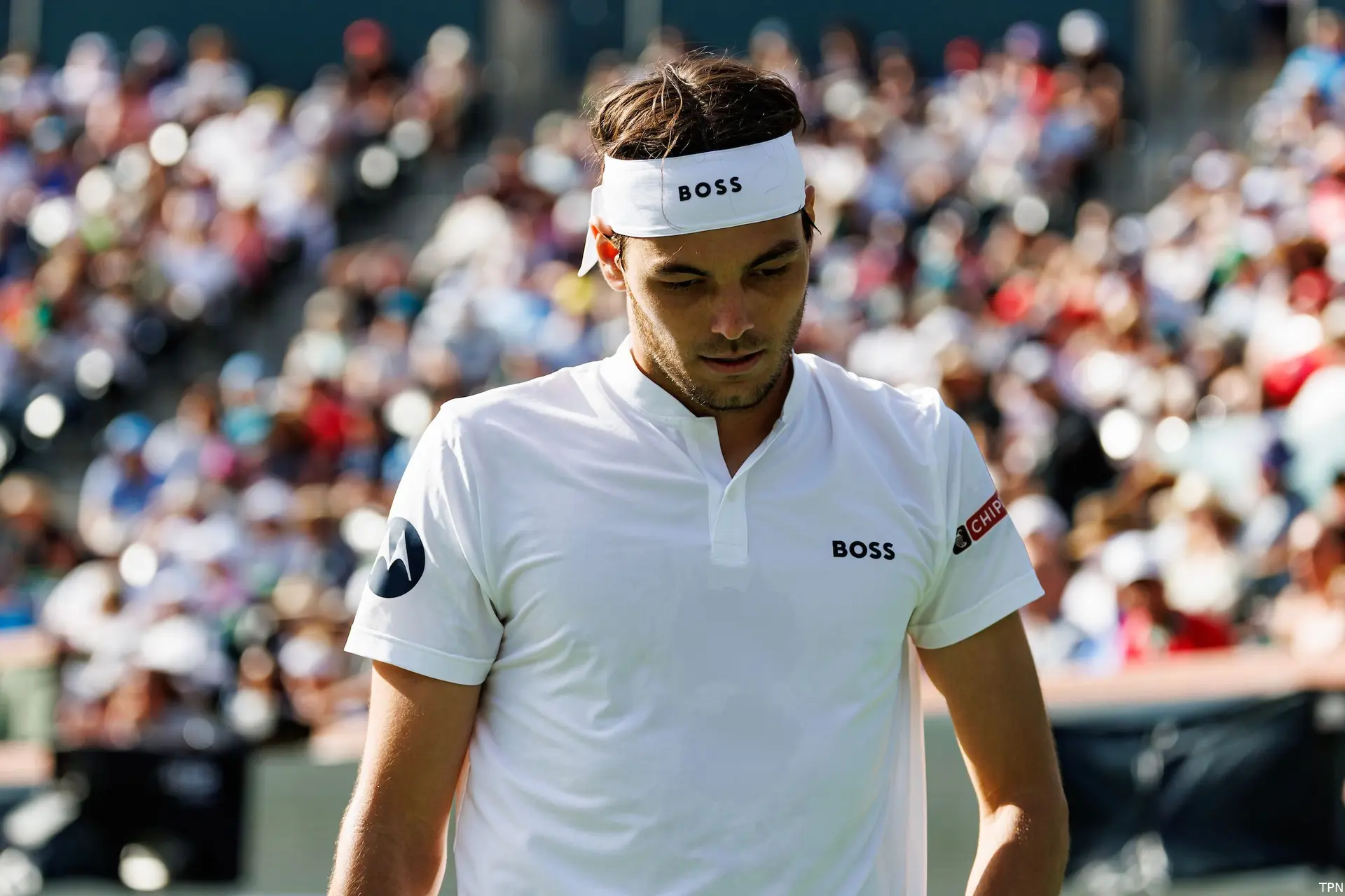 fritz taylor iw24 tpn