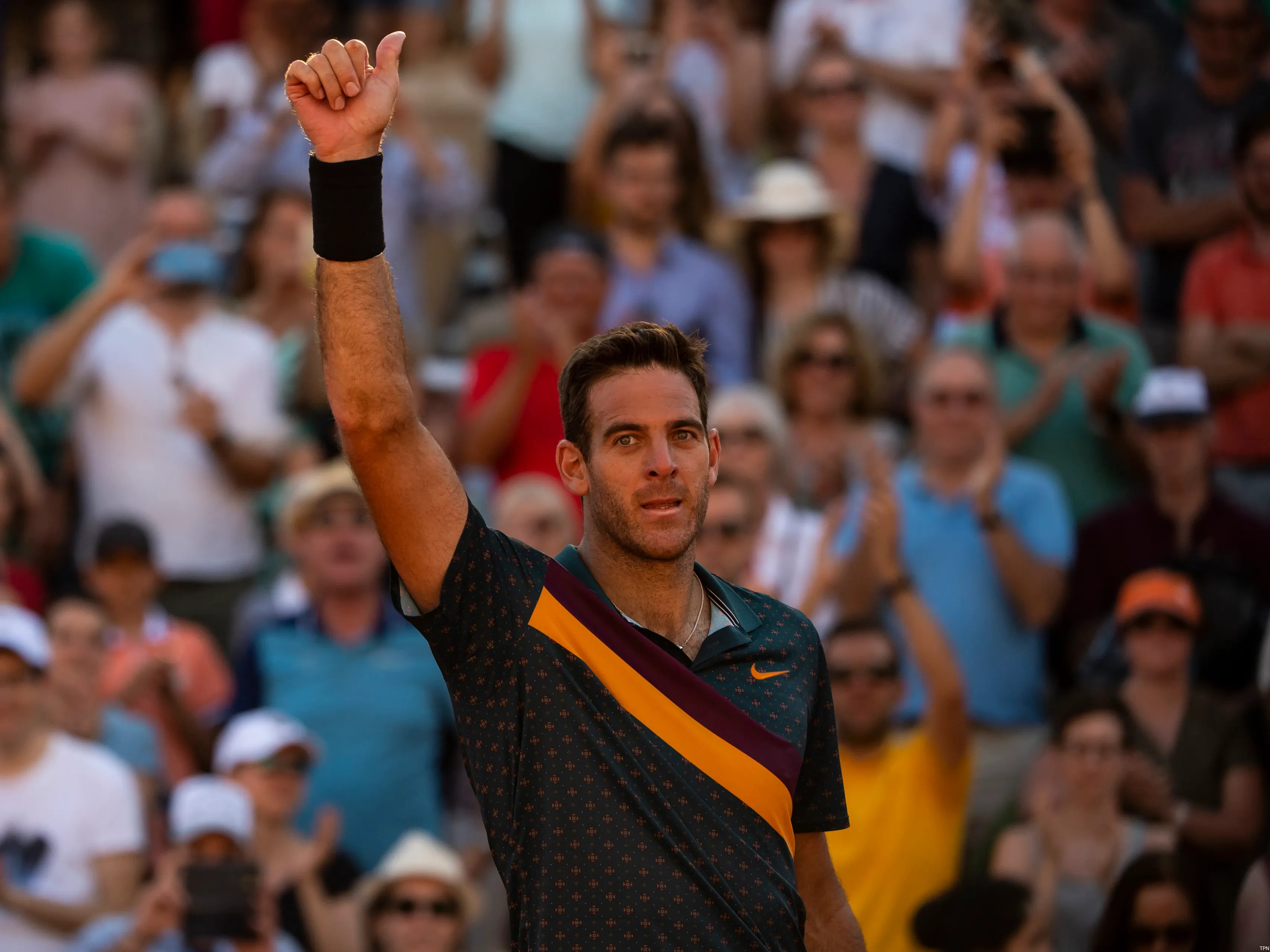 del potro juan martin rg2019 tpn