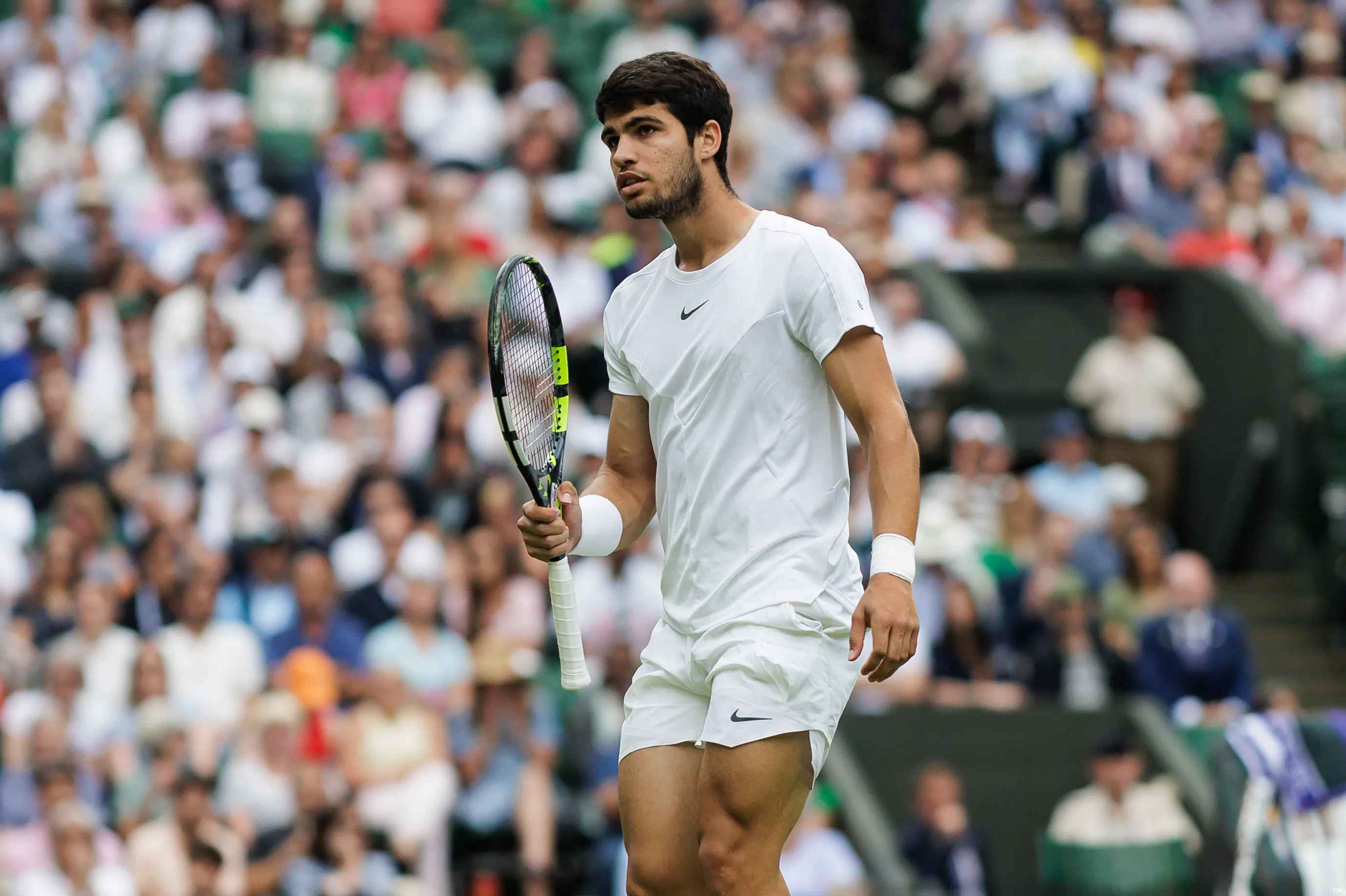 alcaraz carlos wimbledon23 tpn4