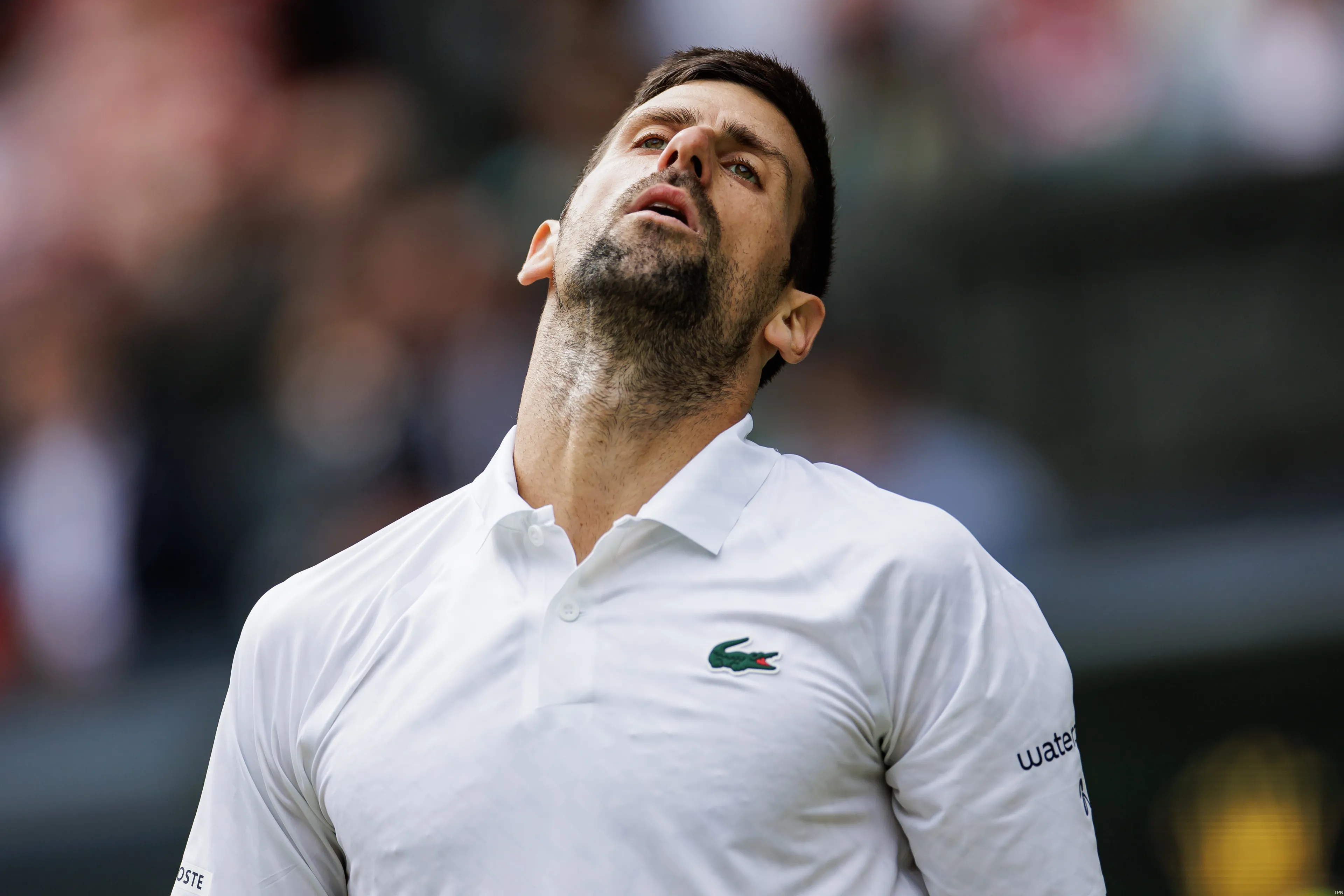 djokovic novak wimbledon23 tpn5