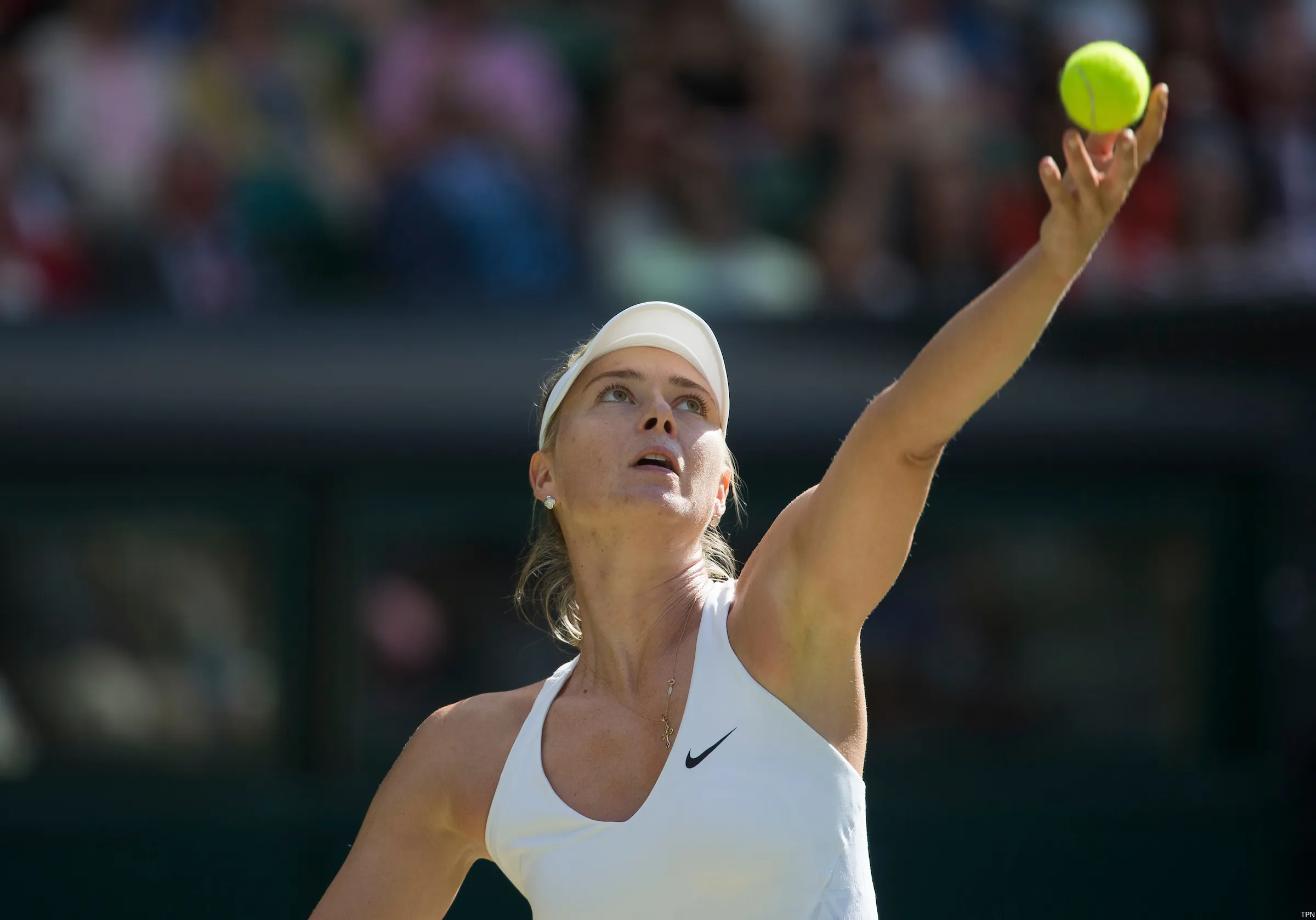 sharapova maria tpn2