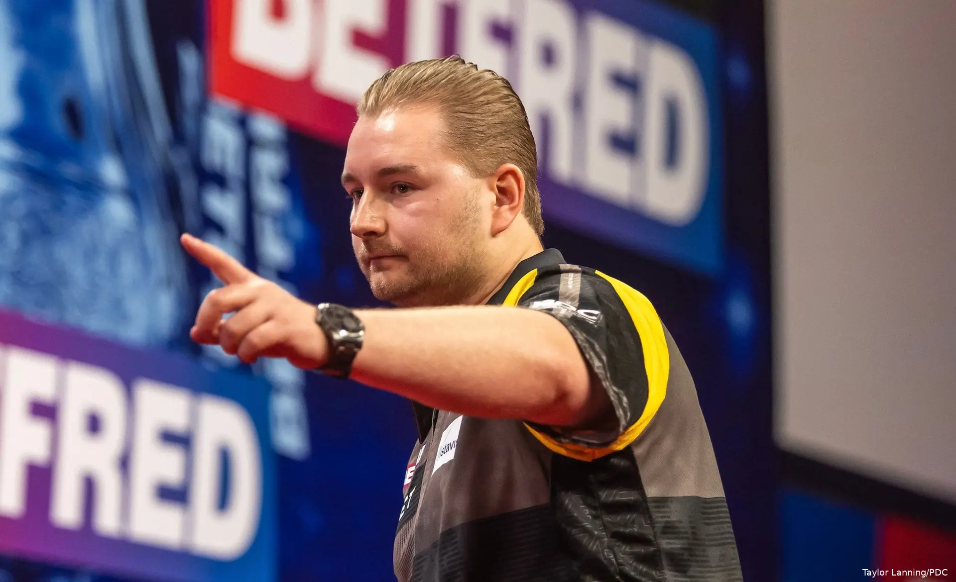 dimitri van den bergh 2