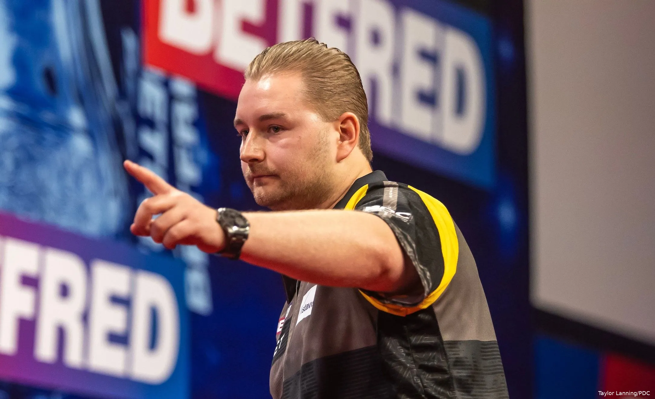 dimitri van den bergh 2