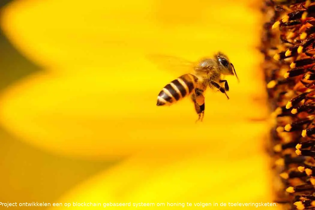 oracle en world bee project volgen honing via de blockchain cryptobenelux