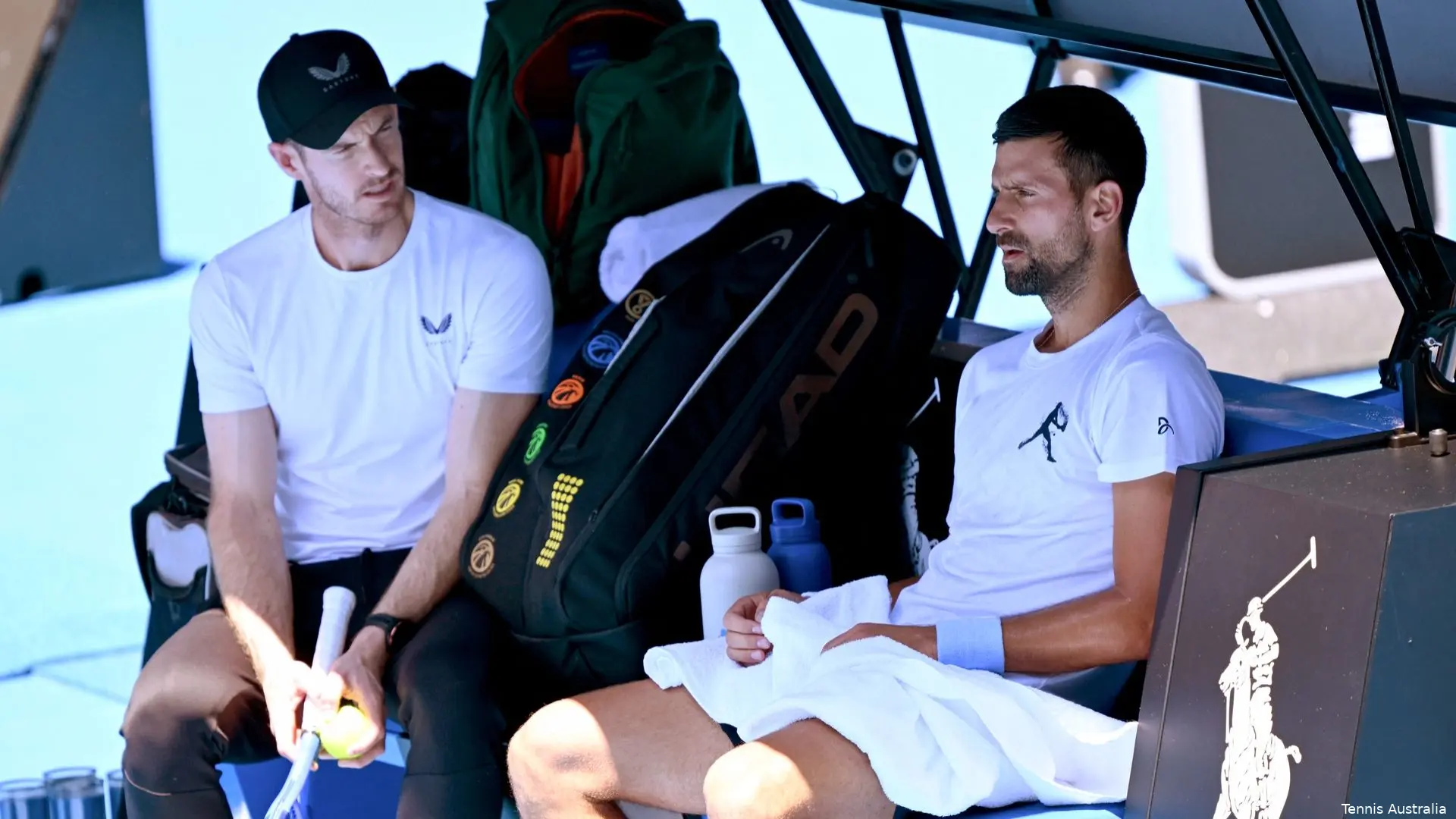 djokovicmurray australianopen25 tennisaustralia